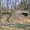 2005 Remains